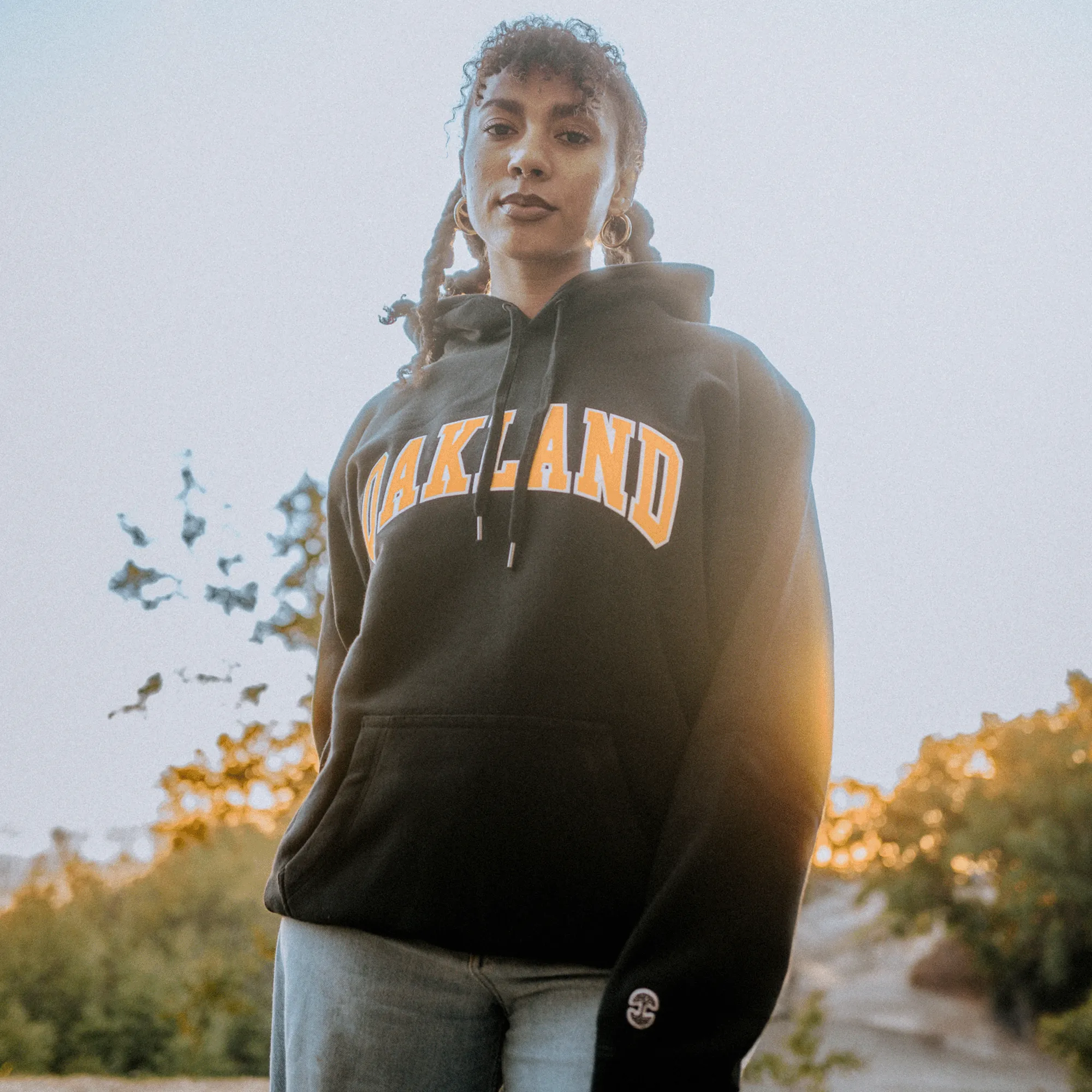 Alma Mater Heavy Hoodie
