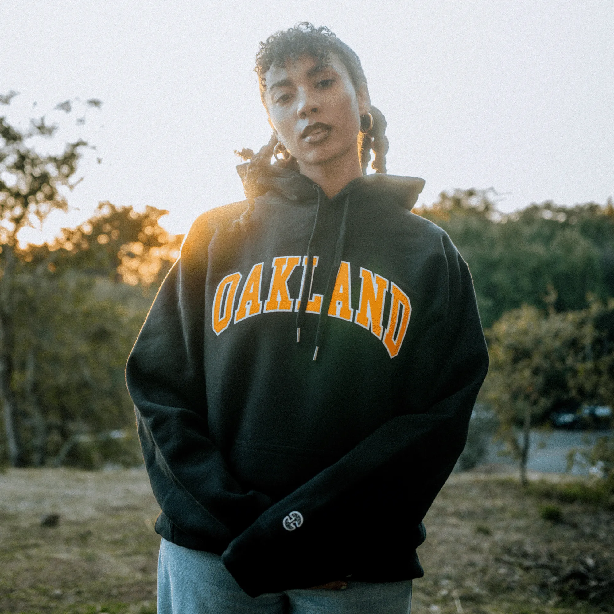 Alma Mater Heavy Hoodie