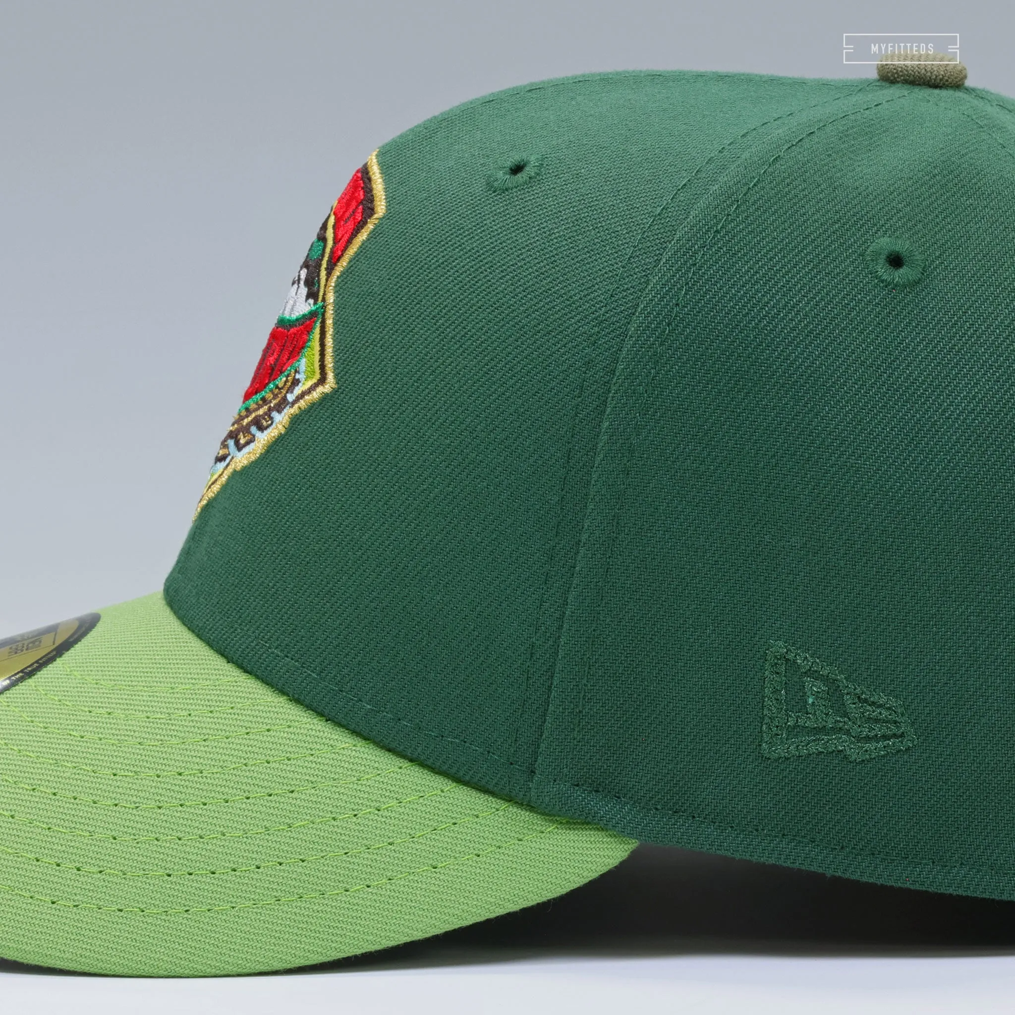 ALTOONA CURVE THE LEGEND OF ZELDA SPIRIT TRACKS INSPIRED NEW ERA FITTED CAP
