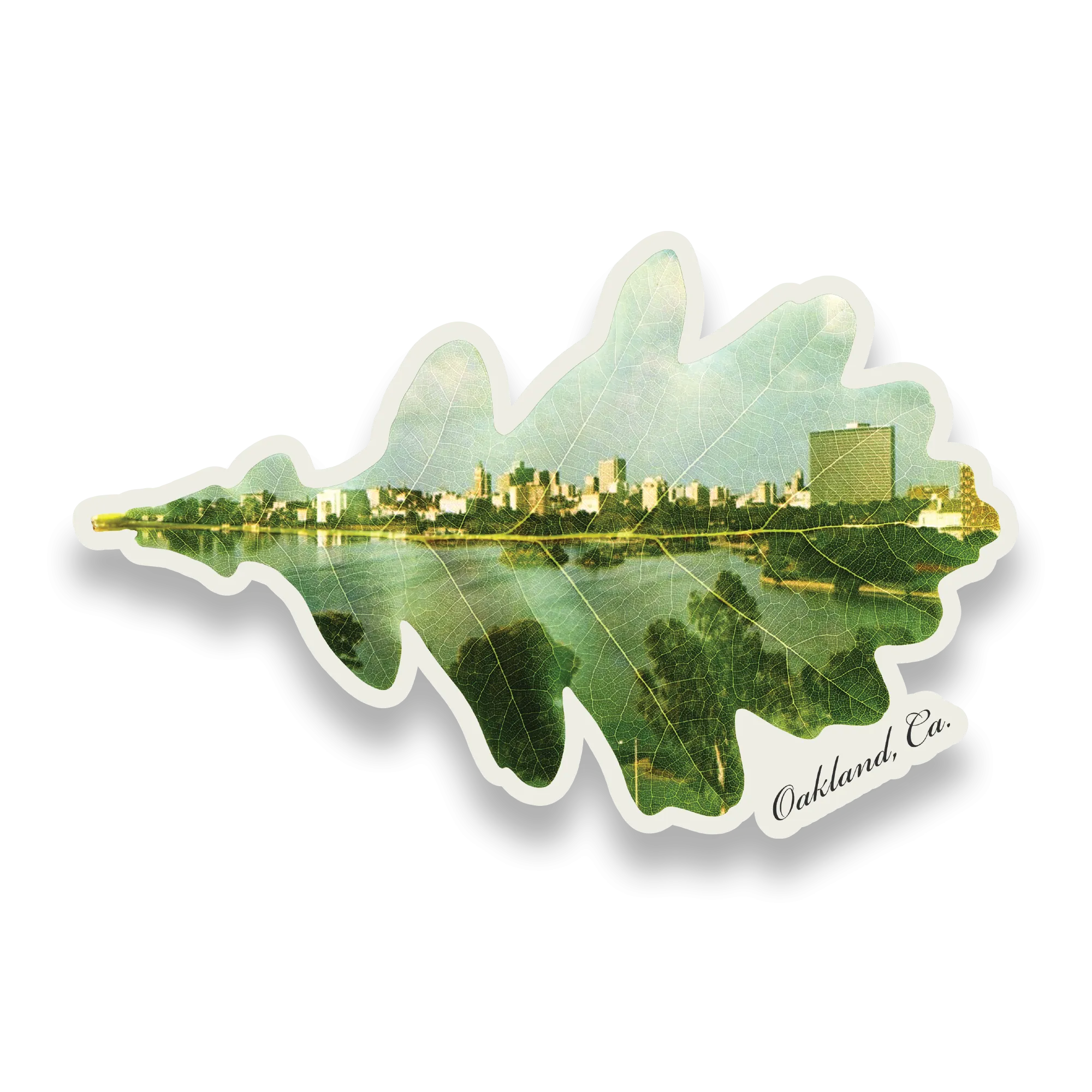Double Exposure Sticker