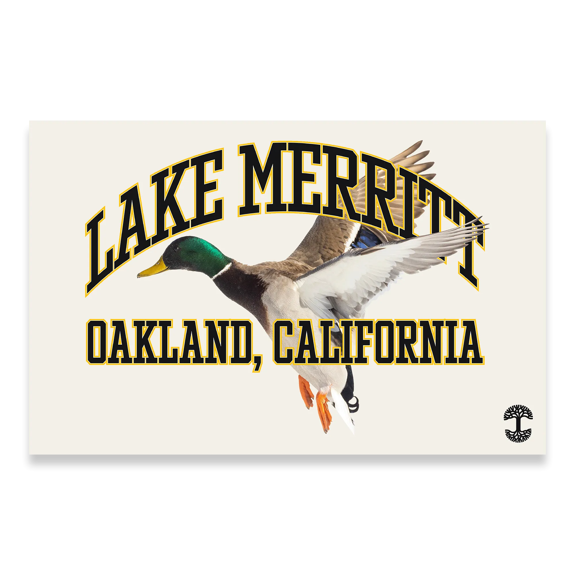 Duck School Poster