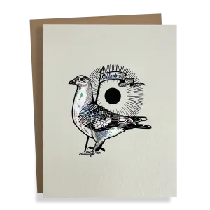 Oaklandish Pigeon Card