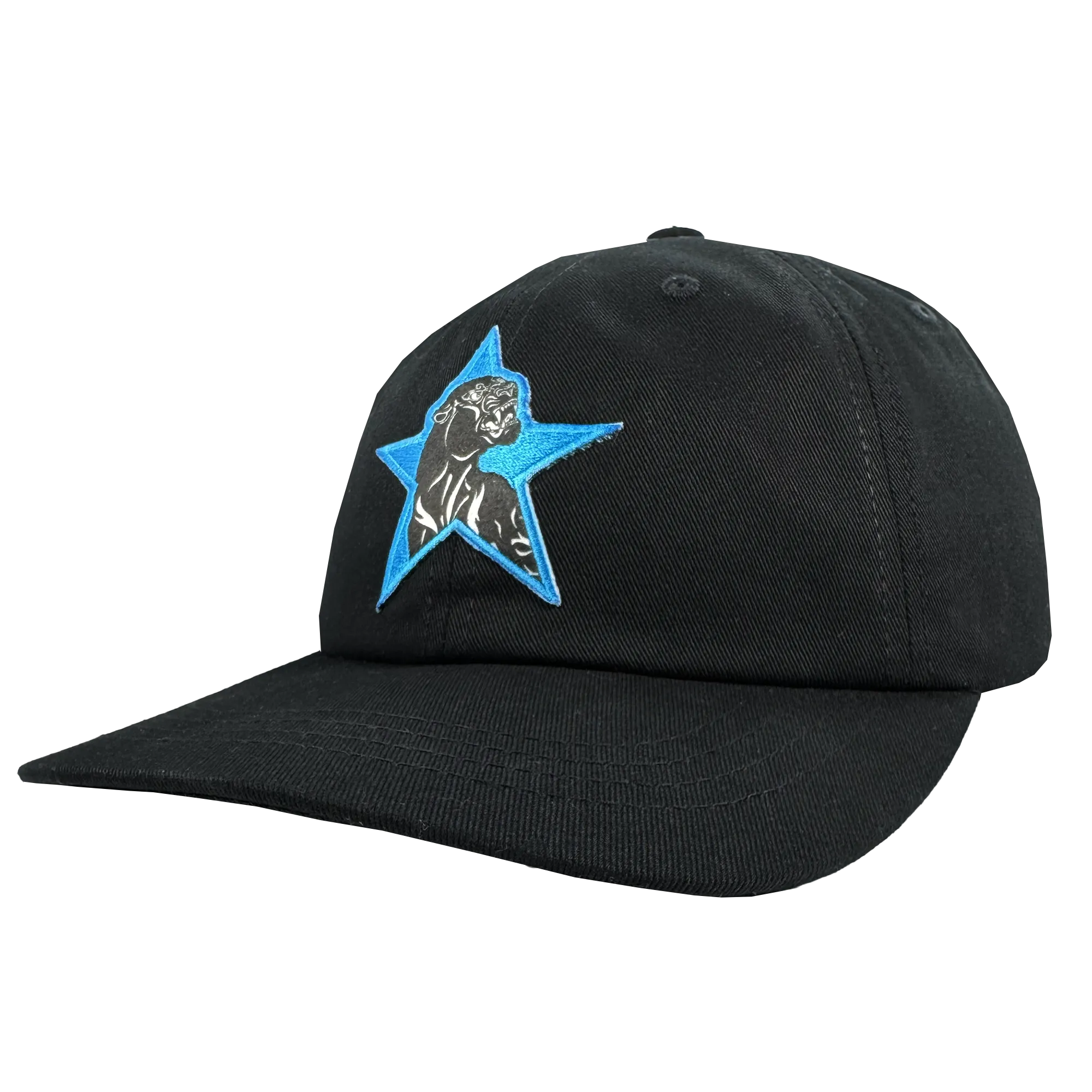 Power of the People Dad Hat