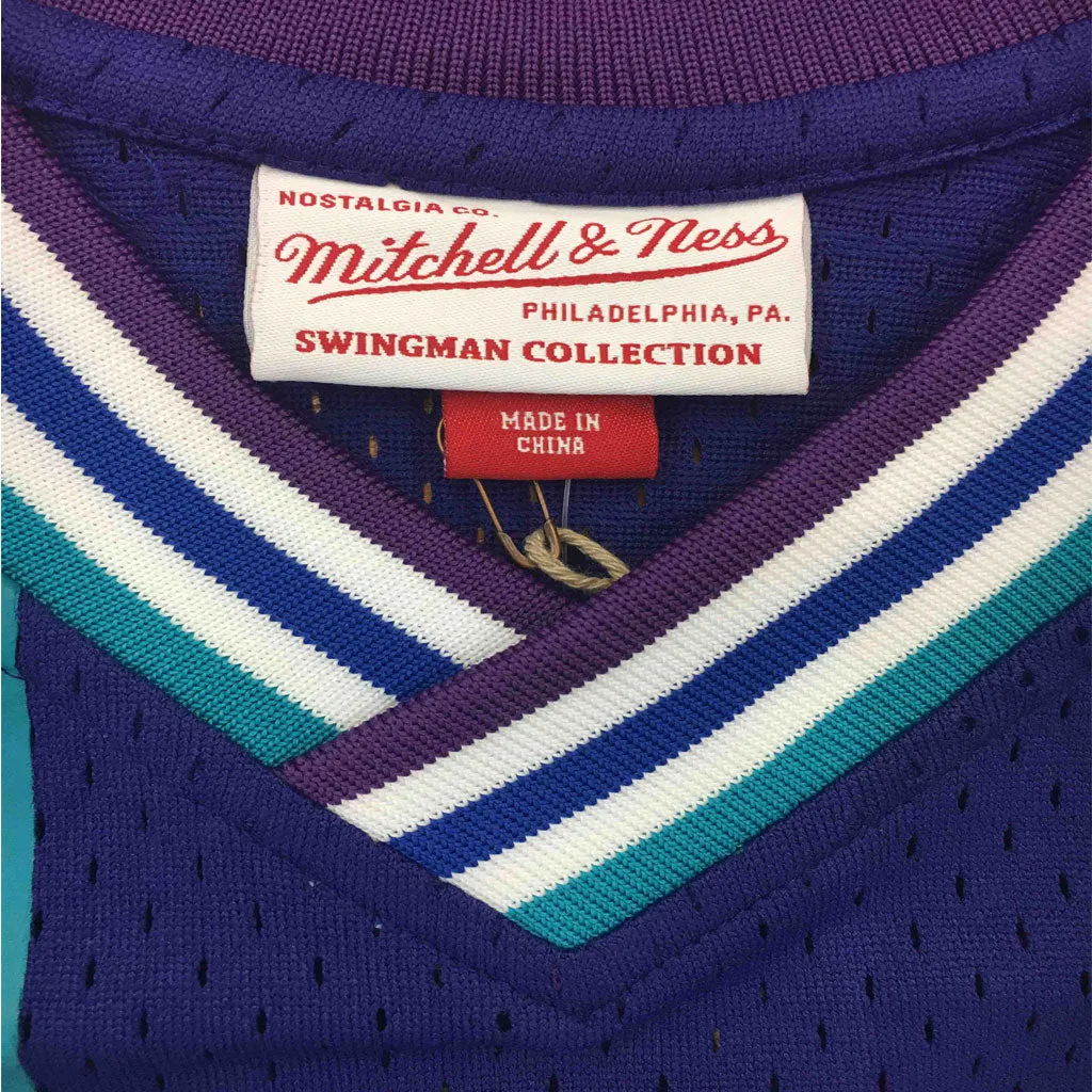 Purple Larry Johnson #2 Charlotte Hornets Mitchell & Ness Mesh NBA Jersey