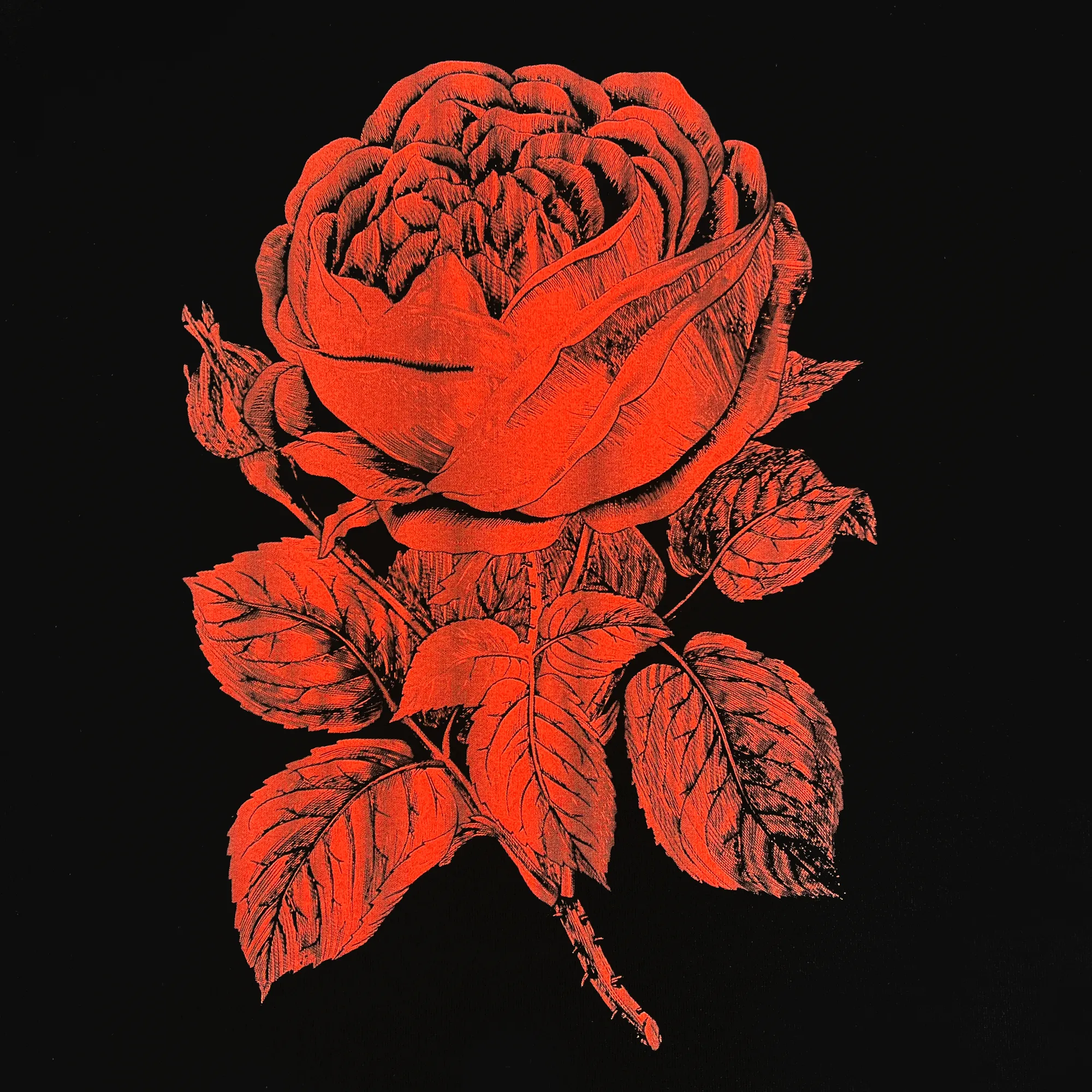 Town Rose Heavy Tee